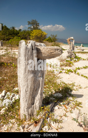 Indonesia, Lombok, Gili Air, driftwood sculture dietro la spiaggia di sabbia bianca Foto Stock