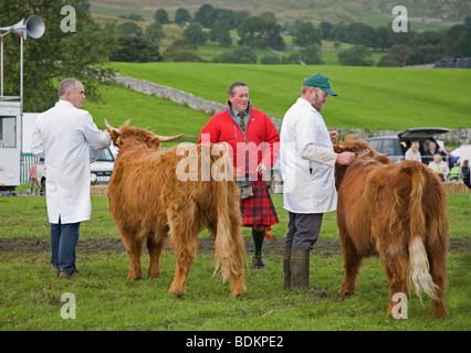 Highland bovini di essere giudicati da un uomo in tartan scozzese Kilt, all'Malham agricoltura e spettacolo agricolo, Yorkshire Dales Foto Stock