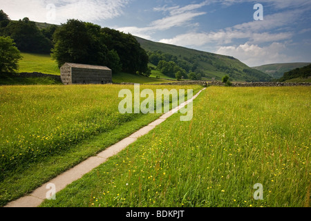 In lastricato sentiero che conduce attraverso il tradizionale prati da fieno di Swaledale, vicino Muker nel Nord Yorkshire Dales Foto Stock