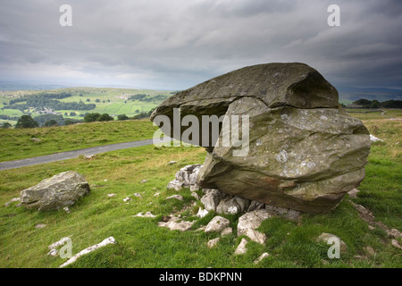 Masso erratico affacciato sul pietre Winskill riserva naturale nel Yorkshire Dales, Regno Unito Foto Stock