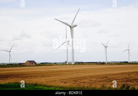 I moderni mulini a vento di generare energia elettrica accanto alla A141 in Cambridgeshire Foto Stock