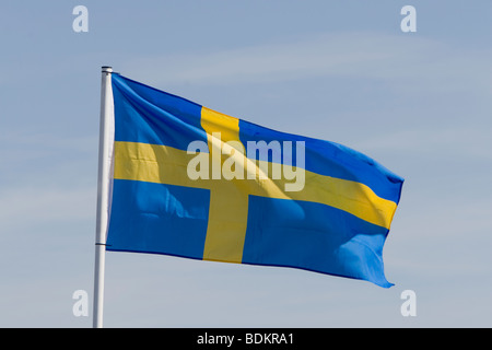 Bandiera svedese Foto Stock