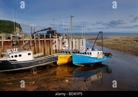 Barche ormeggiate all'alma wharf al tramonto in appoggio sul fondo del mare con la bassa marea sulla baia di Fundy New Brunswick Foto Stock