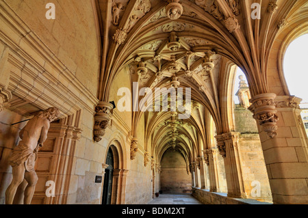 Spagna, San Giacomo modo: il chiostro in stile rinascimentale nel monastero di San Zoilo Foto Stock