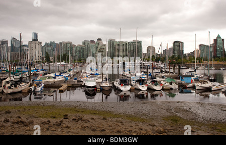 Barche in marina, Coal Harbour, Vancouver, BC, Canada. Vista è da Stanley Park Foto Stock