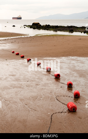 Galleggianti a bassa marea, Terza Spiaggia, Stanley Park, Vancouver, Canada Foto Stock