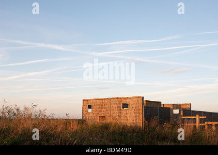 RSPB Otmoor Riserva Naturale "Bird nascondere, Oxfordshire, Regno Unito Foto Stock