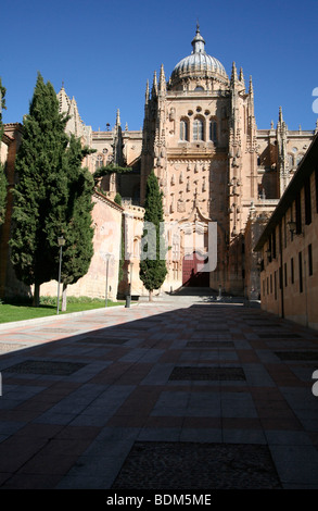 Salamanca vecchia cattedrale, Spagna Foto Stock