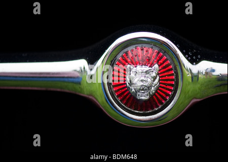 Tipo E 4,2 litro Jaguar griglia anteriore badge. Classic British Auto sportiva Foto Stock