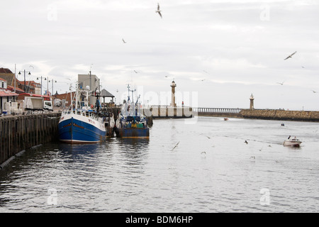 Gabbiani battenti intorno a Whitby Harbour, con il Molo di Est e Ovest Pier fari in background, North Yorkshire, Inghilterra, Regno Unito Foto Stock