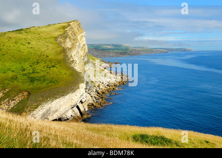 Costa a Worbarrow Bay Dorset Foto Stock