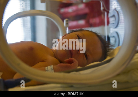 Il neonato in un incubatore Foto Stock