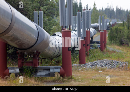 Centro di rame, Alaska - Il Trans-Alaska conduttura che porta l'olio 800 miglia da Prudhoe Bay a Valdez. Foto Stock