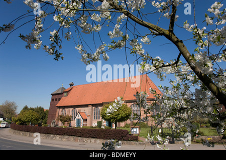 St Bartholomaeus Kirche San Bartolomeo la Chiesa in Mittelnkirchen, la fioritura dei ciliegi, Altes Land regione inferiore, Elba, Bassa Sassonia, Foto Stock