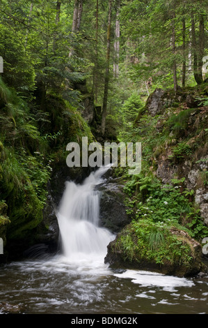 Cascata, Ravennaschlucht gorge, Foresta Nera, Baden-Wuerttemberg, Germania, Europa Foto Stock