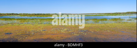 Mamukala zone umide nel Parco Nazionale Kakadu, Territorio del Nord, l'Australia Foto Stock