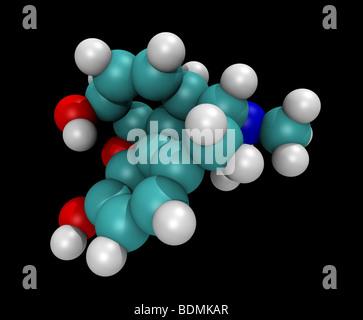 Generati con il computer, tridimensionale di riempimento di spazio modello molecolare della morfina Foto Stock