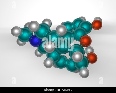 Generati con il computer, tridimensionale di riempimento di spazio modello molecolare della morfina Foto Stock