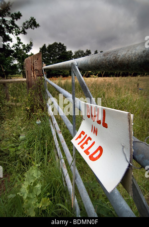 Bull nel campo Segnale di avviso attaccato al metallo galvanizzato fattoria Foto Stock