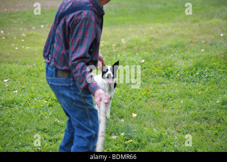 Uomo anziano gettando stick per cane. Focus è il cane. Foto Stock