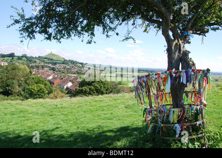 Santa Spina albero su Wearyall Hill con Glastonbury Tor in distanza. Somerset. England Regno Unito Foto Stock