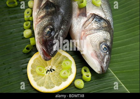 Della Spigola (Dicentrarchus labrax) su foglie di banano Foto Stock