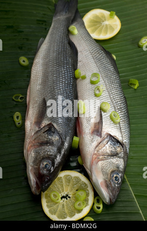 Della Spigola (Dicentrarchus labrax) su foglie di banano Foto Stock