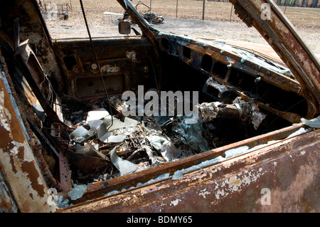 Devastazione dopo bushfires Foto Stock