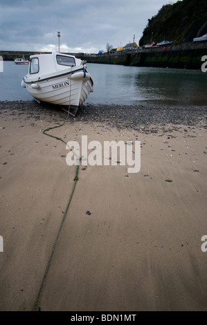 Un veiw di una barca in tarda primavera a Saundersfoot harbour nel Galles Occidentale Foto Stock