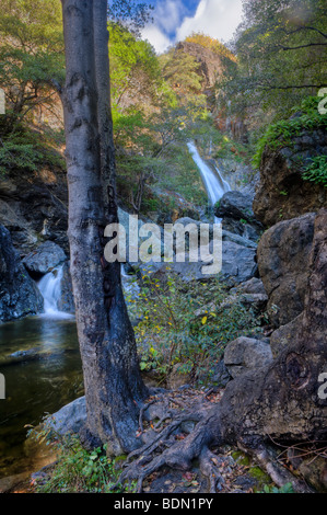 Salmon Creek Falls, Santa Lucia montagne, Big Sur, California, Stati Uniti d'America. Foto Stock
