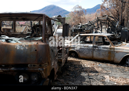 Devastazione dopo bushfires Foto Stock