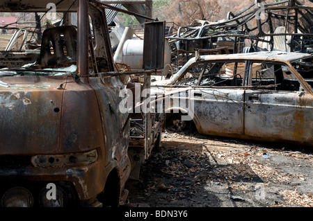 Devastazione dopo bushfires Foto Stock