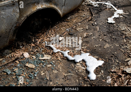 Devastazione dopo bushfires Foto Stock