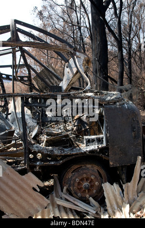 Devastazione dopo bushfires Foto Stock