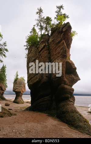 Faccia di et e vaso motherinlaw mare pile a hopewell rocce della baia di Fundy New Brunswick sul giorno nuvoloso Foto Stock