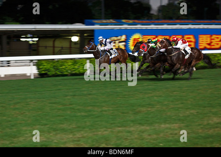Cavalli al galoppo verso il traguardo durante una notte horse racing event a Happy Valley Race Course a Hong Kong. Foto Stock