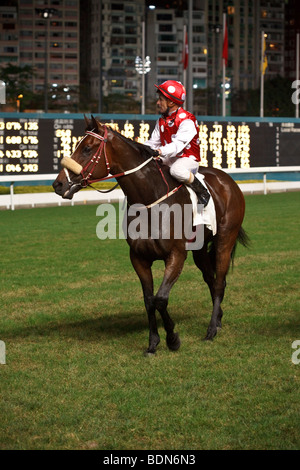 Un fantino sul suo cavallo durante la notte le corse dei cavalli a Happy Valley Race Course a Hong Kong. Foto Stock