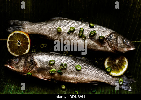 Della Spigola (Dicentrarchus labrax) su foglie di banano Foto Stock