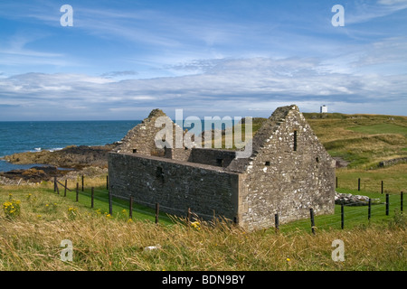 Saint Ninians Cappella, Isola di Whithorn, Machars, Dumfries and Galloway, Scozia Foto Stock