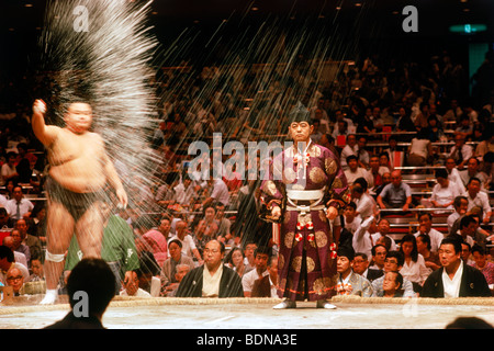 Pre lotta sumo wrestling cerimonia di lanciare il sale in un anello o dohyo presso il Tokyo Stadium Foto Stock