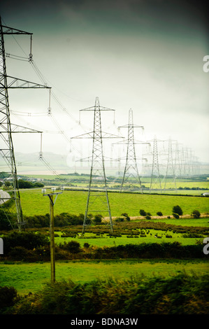 Una linea di riga della griglia nazionale di elettricità tralicci marciando attraverso il paesaggio rurale di Anglesey, Galles del Nord Regno Unito Foto Stock