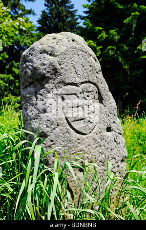 Grosser Dreiherrenstein, storica pietra di frontiera sul confine di tre principati, Rennsteig, Foresta Turingia, Turingia, Foto Stock