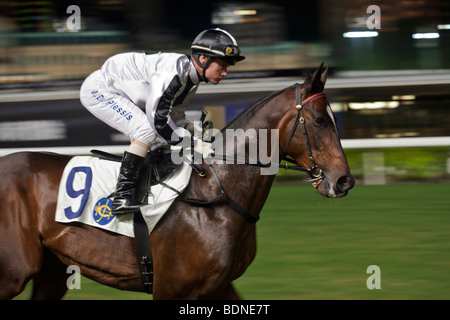 Un fantino sul suo monte cavalcare all'inizio ad una notte horse racing event alla Happy Valley Race Course a Hong Kong. Foto Stock