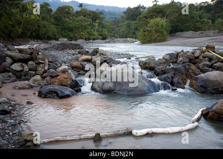 Boom assorbente i luoghi che si trovano di fronte un fiume amazzonico durante il processo di pulitura di una fuoriuscita di petrolio. Foto Stock