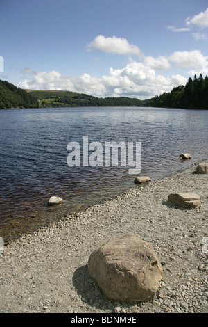 Area di Lake Vyrnwy, Galles. Vista generale del Lake Vyrnwy con la torre deformatori fondo in lontananza. Foto Stock