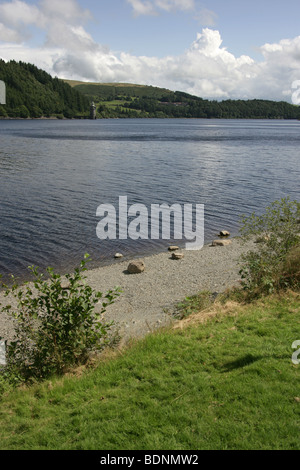 Area di Lake Vyrnwy, Galles. Vista generale del Lake Vyrnwy con la torre deformatori fondo in lontananza. Foto Stock