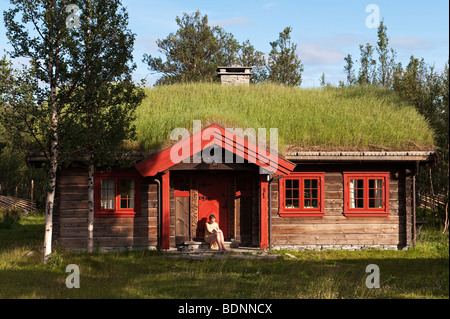 Estate in Norvegia. Una capanna con tetto in erba fa parte di una fattoria estiva tradizionale in cima alle montagne Foto Stock