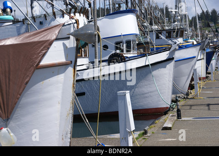 Pesca bianca le navi per la pesca a strascico e altre imbarcazioni, legato su una banchina in Yaquina Bay, Newport, Oregon Coast Foto Stock