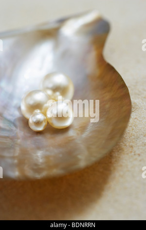Quattro perle in aprire il guscio di ostrica sulla spiaggia, vicino, vista in elevazione Foto Stock