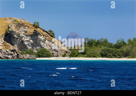 Una delle molte isole di Komodo, Parco Nazionale di Komodo, Indonesia, sud-est asiatico Foto Stock